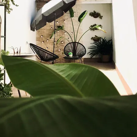 élite - Frida Mérida