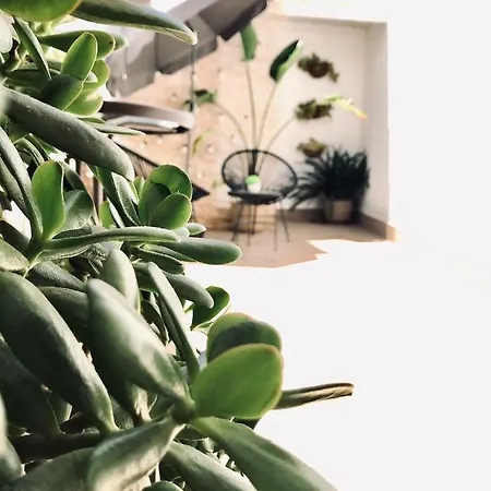 Apartamento élite - Frida *