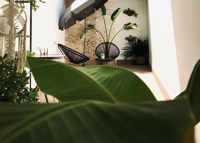 Elite - Art Collection - Frida Mérida