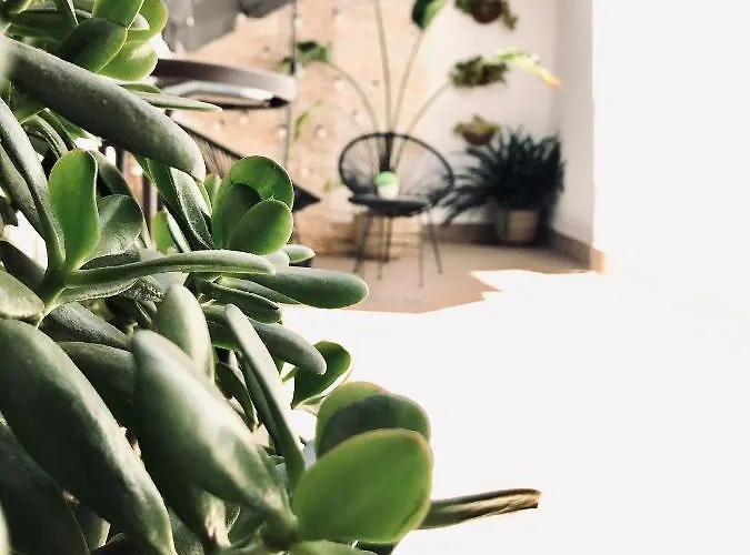 Appartement Elite - Art Collection - Frida *